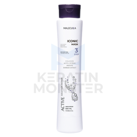 Несмываемая маска Iconic Active Solution Repair 500 мл